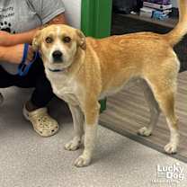 Thumbnail photo of Gaby #1