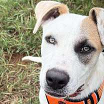 Thumbnail photo of Snow White #1