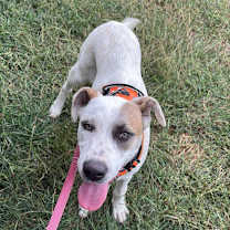 Thumbnail photo of Snow White #2