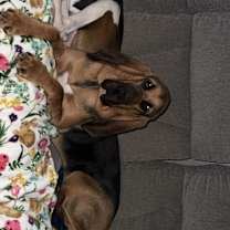 Thumbnail photo of Mary Jane #3