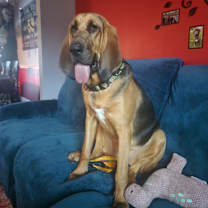 Thumbnail photo of Mary Jane #4