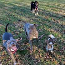 Thumbnail photo of Kori #3