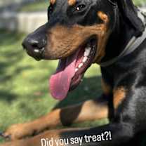 Thumbnail photo of Piper 3493 #3