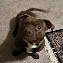 Thumbnail photo of Theo #4