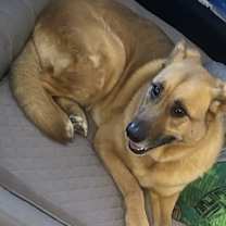 Thumbnail photo of Karma #1