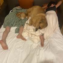 Thumbnail photo of Karma #3