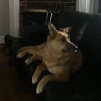 Thumbnail photo of Karma #4