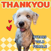 Thumbnail photo of THANKYOU #1