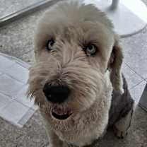 Thumbnail photo of THANKYOU #2