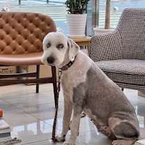 Thumbnail photo of THANKYOU #4