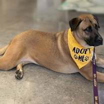 Thumbnail photo of Perry #3