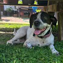 Thumbnail photo of Lucky #3