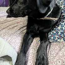 Thumbnail photo of Aisha #4