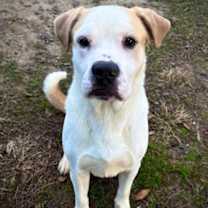 Thumbnail photo of Prince #2