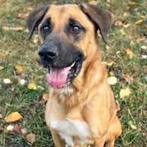 Thumbnail photo of Mamba #2