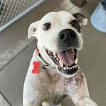 Thumbnail photo of Suzie #1