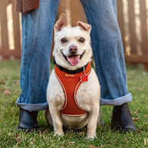 Thumbnail photo of Tater #1