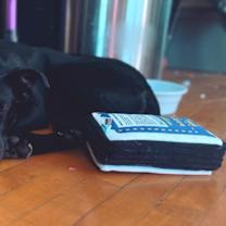 Thumbnail photo of Rain #1