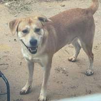 Thumbnail photo of Mellow #2