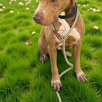 Thumbnail photo of JAX #3