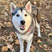 Thumbnail photo of Tessie Lou #3