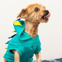 Thumbnail photo of Desi #2