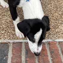 Thumbnail photo of Zandra #2