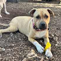 Thumbnail photo of Julie #4