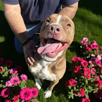 Thumbnail photo of OTIS #2