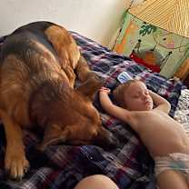 Thumbnail photo of Asta #3