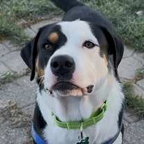 Thumbnail photo of Elliot #1