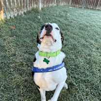 Thumbnail photo of Elliot #4