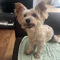 Thumbnail photo of Dude #2