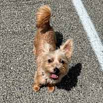 Thumbnail photo of Dude #3