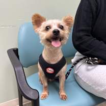 Thumbnail photo of Dude #4