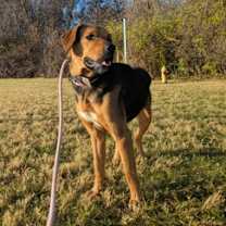 Thumbnail photo of Wander #2