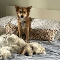 Thumbnail photo of Sussy #3