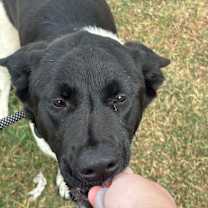 Thumbnail photo of Hermione  #3