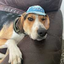 Thumbnail photo of Radar #3