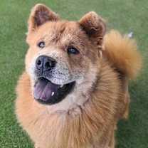 Thumbnail photo of Hank #4