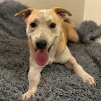 Thumbnail photo of Ben #3