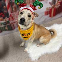 Thumbnail photo of Ben #4