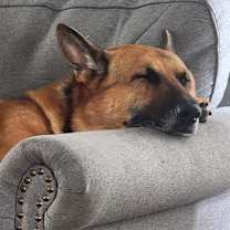 Thumbnail photo of Otto #1