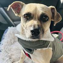 Thumbnail photo of Gem #2