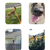 Thumbnail photo of Kenji #3