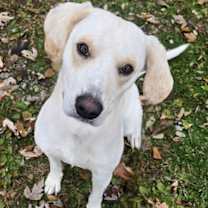 Thumbnail photo of Wilbur #2