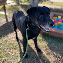 Thumbnail photo of Mercury #3