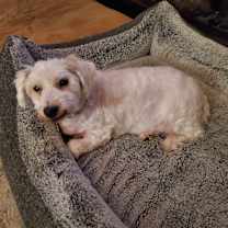 Thumbnail photo of George #1