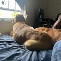 Thumbnail photo of Gypsy #4