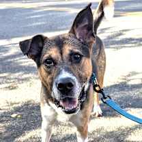 Thumbnail photo of Wyatt #1